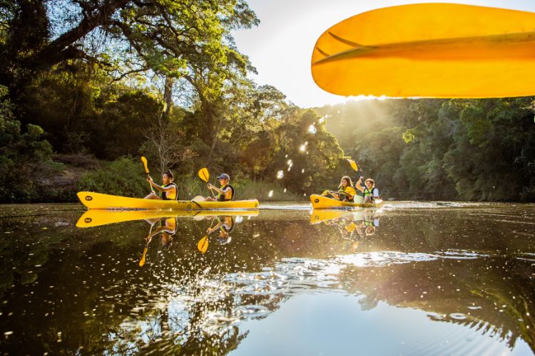 Canoeing along the Touw River in Wilderness, Garden Route, Western Cape, South Africa